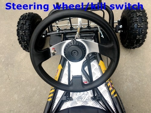 200cc 6.5HP Go Kart Wet Clutch Dune Buggy ATV Quad 4 Stroke Top Roll Cage