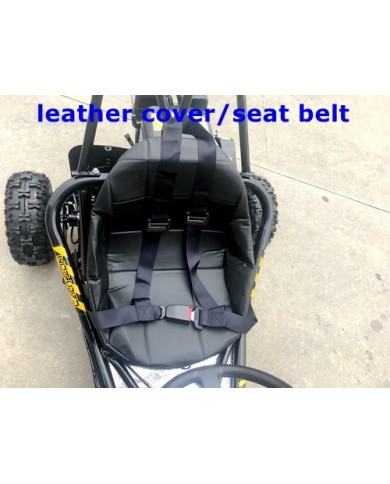 200cc 6.5HP Go Kart Wet Clutch Dune Buggy ATV Quad 4 Stroke Top Roll Cage