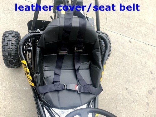 200cc 6.5HP Go Kart Wet Clutch Dune Buggy ATV Quad 4 Stroke Top Roll Cage