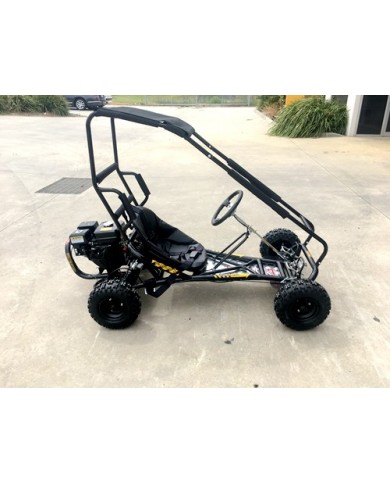 200cc 6.5HP Go Kart Wet Clutch Dune Buggy ATV Quad 4 Stroke Top Roll Cage