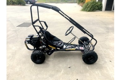 200cc 6.5HP Go Kart Wet Clutch Dune Buggy ATV Quad 4 Stroke Top Roll Cage 200cc 6.5HP Go Kart Wet Clutch Dune Buggy ATV Quad 4 Stroke Top Roll Cage