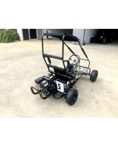200cc 6.5HP Go Kart Wet Clutch Dune Buggy ATV Quad 4 Stroke Top Roll Cage