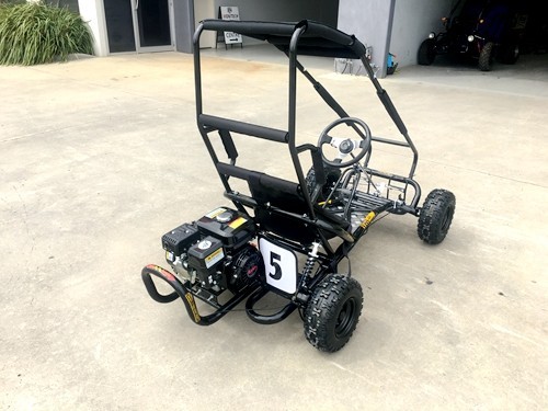 200cc 6.5HP Go Kart Wet Clutch Dune Buggy ATV Quad 4 Stroke Top Roll Cage 200cc 6.5HP Go Kart Wet Clutch Dune Buggy ATV Quad 4 Stroke Top Roll Cage