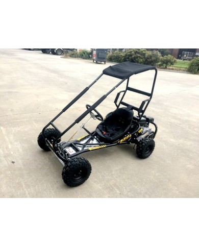 200cc 6.5HP Go Kart Wet Clutch Dune Buggy ATV Quad 4 Stroke Top Roll Cage