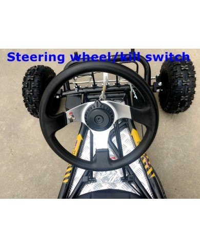 200cc 6.5HP Go Kart Wet Clutch Dune Buggy ATV Quad 4 Stroke Top Roll Cage