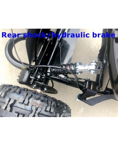 200cc 6.5HP Go Kart Wet Clutch Dune Buggy ATV Quad 4 Stroke Top Roll Cage